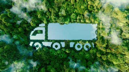 Sustainable Exporting — Thesaki’s Commitment to a Greener Future