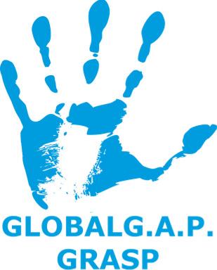 Global A.P