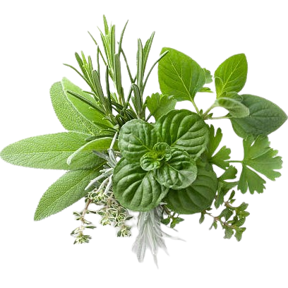 category-image