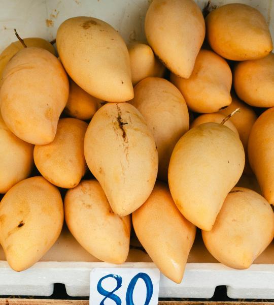 Apple Mango