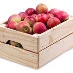 Apples