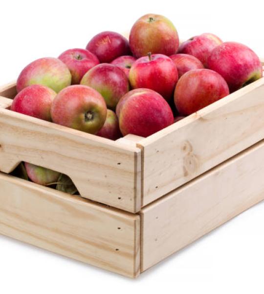 Apples