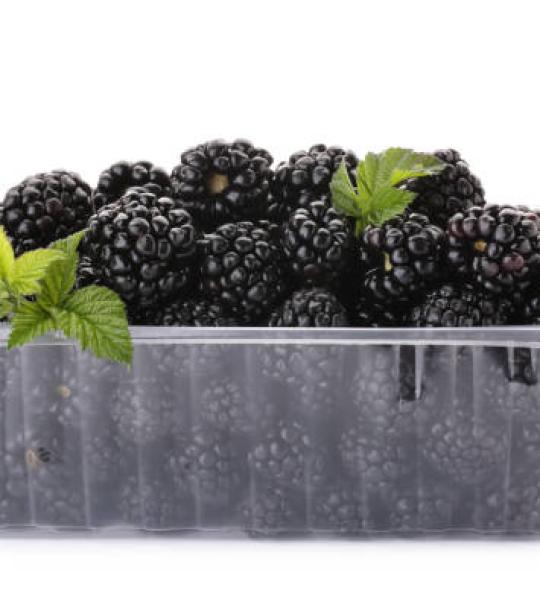 Black Berries