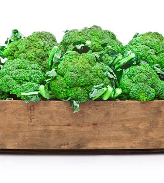 Broccoli