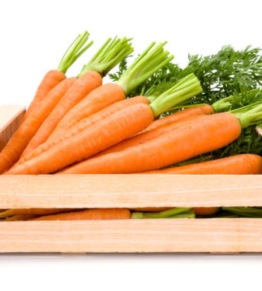 Carrots