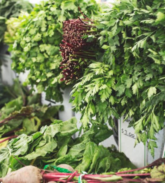 Parsley