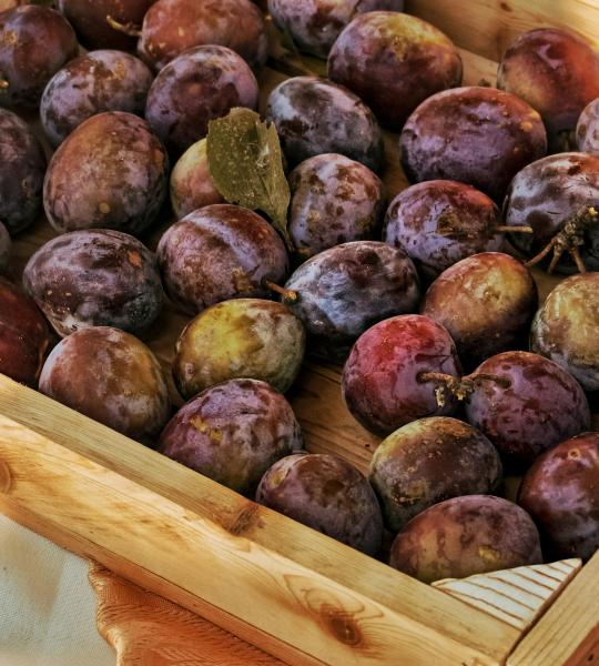 Passion Fruit