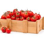 Tomatoes