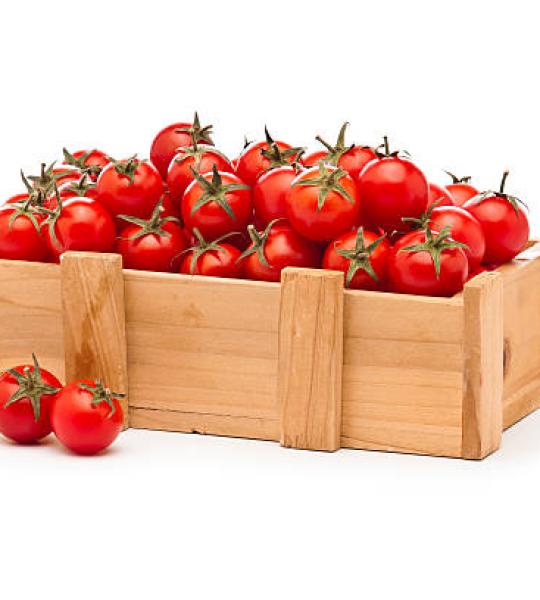 Tomatoes