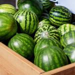 Watermelon