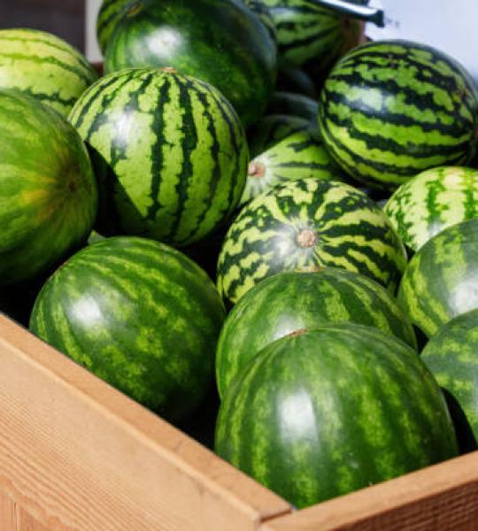 Watermelon